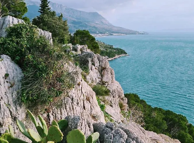 Ivona With Beautiful Seaview Makarska